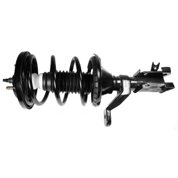 Suspension Strut and Coil Spring Assembly