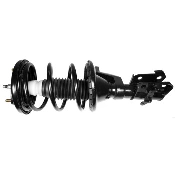 Suspension Strut and Coil Spring Assembly