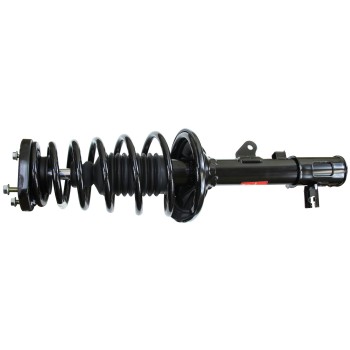 Suspension Strut and Coil Spring Assembly