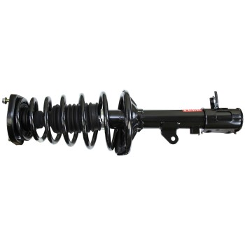 Suspension Strut and Coil Spring Assembly