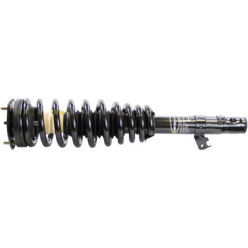 Suspension Strut and Coil Spring Assembly