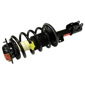 Suspension Strut and Coil Spring Assembly