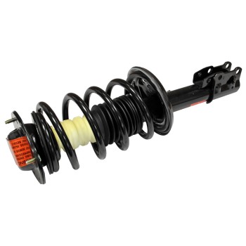 Suspension Strut and Coil Spring Assembly