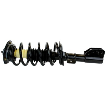 Suspension Strut and Coil Spring Assembly