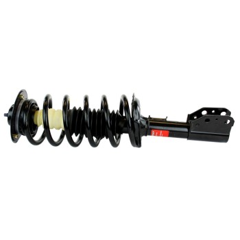 Suspension Strut and Coil Spring Assembly