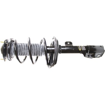 Suspension Strut and Coil Spring Assembly