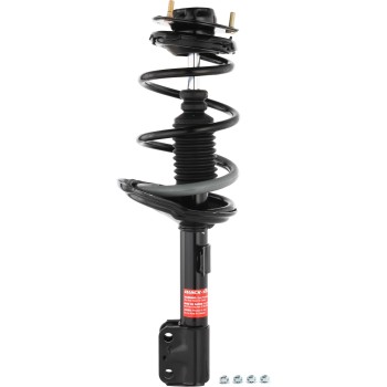 Suspension Strut and Coil Spring Assembly