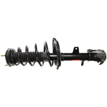 Suspension Strut and Coil Spring Assembly