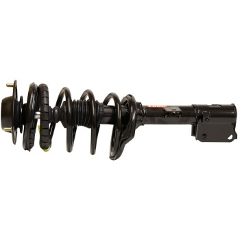 Suspension Strut and Coil Spring Assembly