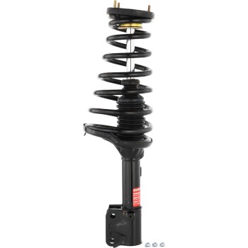 Suspension Strut and Coil Spring Assembly