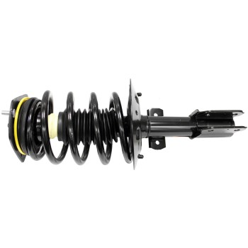 Suspension Strut and Coil Spring Assembly