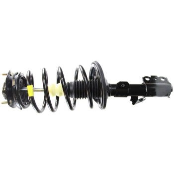 Suspension Strut and Coil Spring Assembly