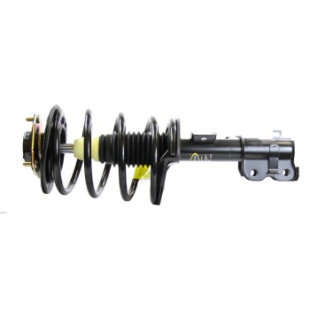 Suspension Strut and Coil Spring Assembly
