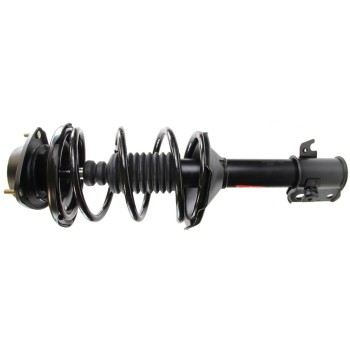 Suspension Strut and Coil Spring Assembly