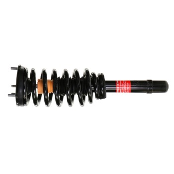 Suspension Strut and Coil Spring Assembly