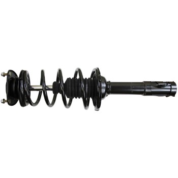Suspension Strut and Coil Spring Assembly
