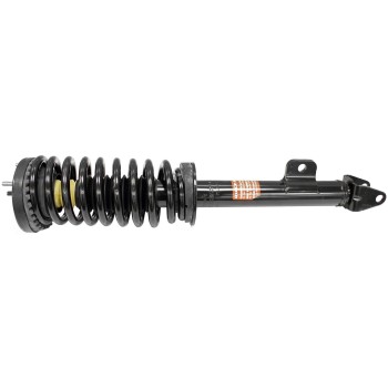 Suspension Strut and Coil Spring Assembly