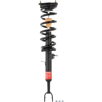 Suspension Strut and Coil Spring Assembly