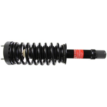 Suspension Strut and Coil Spring Assembly