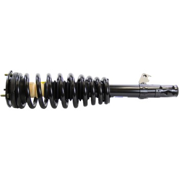 Suspension Strut and Coil Spring Assembly