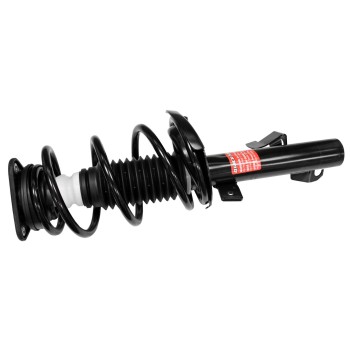 Suspension Strut and Coil Spring Assembly