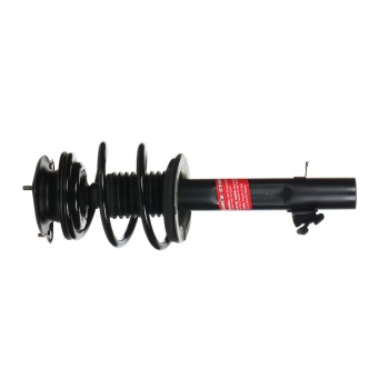 Suspension Strut and Coil Spring Assembly