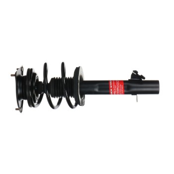 Suspension Strut and Coil Spring Assembly