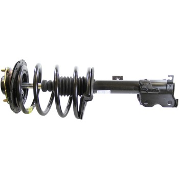 Suspension Strut and Coil Spring Assembly