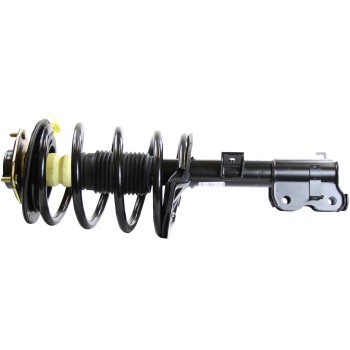 Suspension Strut and Coil Spring Assembly