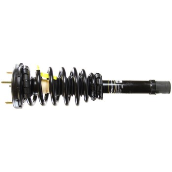 Suspension Strut and Coil Spring Assembly