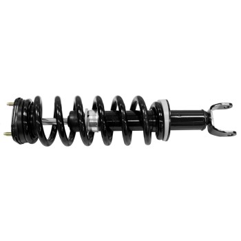 Suspension Strut and Coil Spring Assembly