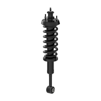 Suspension Strut and Coil Spring Assembly