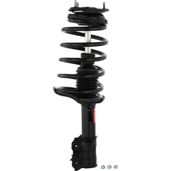 Suspension Strut and Coil Spring Assembly