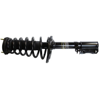 Suspension Strut and Coil Spring Assembly