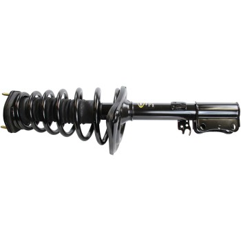 Suspension Strut and Coil Spring Assembly