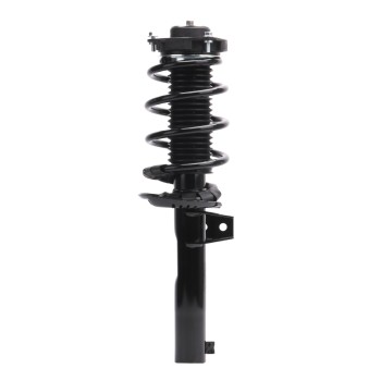 Suspension Strut and Coil Spring Assembly