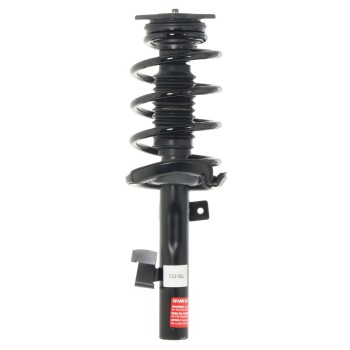 Suspension Strut and Coil Spring Assembly