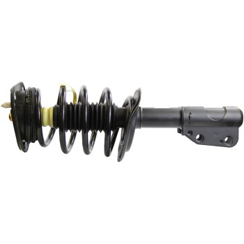 Suspension Strut and Coil Spring Assembly