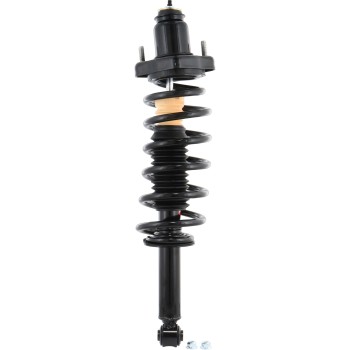Suspension Strut and Coil Spring Assembly