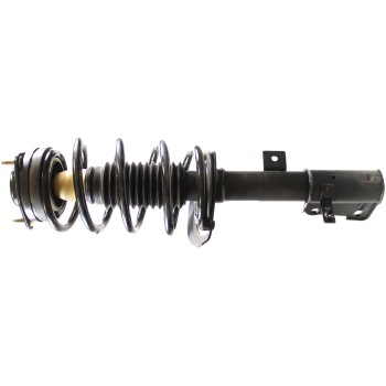 Suspension Strut and Coil Spring Assembly