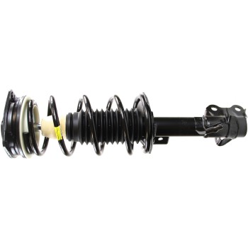 Suspension Strut and Coil Spring Assembly