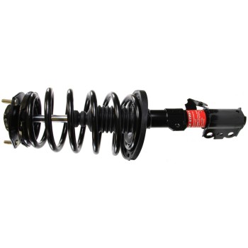 Suspension Strut and Coil Spring Assembly