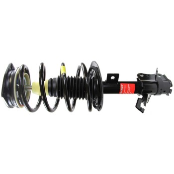 Suspension Strut and Coil Spring Assembly