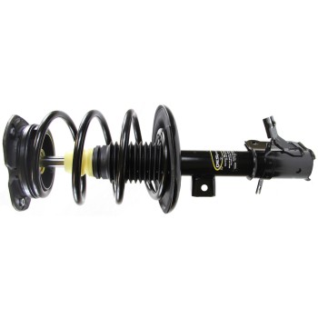 Suspension Strut and Coil Spring Assembly