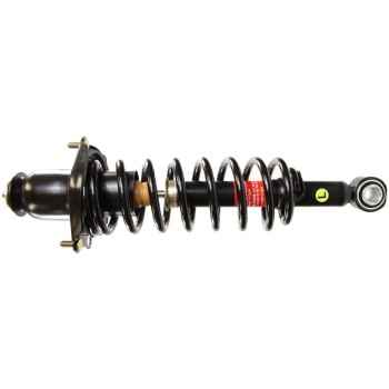 Suspension Strut and Coil Spring Assembly