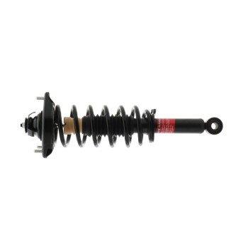 Suspension Strut and Coil Spring Assembly