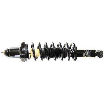 Suspension Strut and Coil Spring Assembly