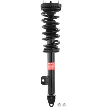 Suspension Strut and Coil Spring Assembly