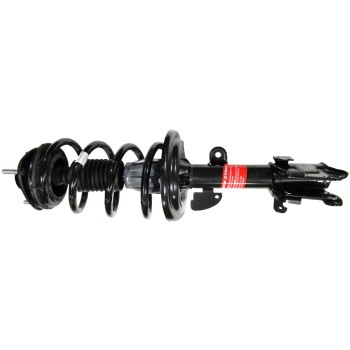 Suspension Strut and Coil Spring Assembly