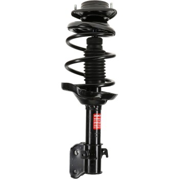Suspension Strut and Coil Spring Assembly